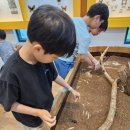 장성공설운동장4 (옥내4) | 아이 데리고 담양 곤충박물관 가서 곤충이랑 동물 보고 먹이도 주고 왔어요~!!