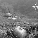 수채화산장 이미지