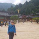 대한通불교조계종 이미지