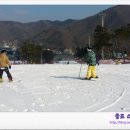 팜프라자 이미지