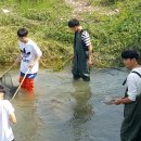 경안천 4 이미지