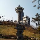 땅끝자란