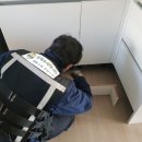 방역수사대