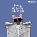 04월 22일 주요신문 헤드라인 이미지