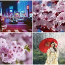 지에스25 주안퍼스트 이미지