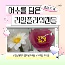 광주학생교육원(광주광역시 동부교육지원청) | [광주・전남 출강] 전남대학교 글로벌교육원ㅣ 외국인 유학생 공예 체험 &#34;리얼플라워캔들클래스&#34;