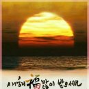 풀향 이미지
