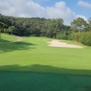 도고컨트리구락부 이미지