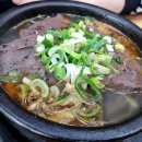 백암느티나무 이미지