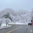 유구매일사슴목장 | 35만원 아이랑 강원도 대관령 1박 2일 겨울여행