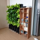 수직의 정원 이미지