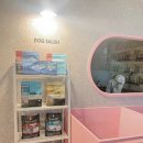 멍이살롱 이미지