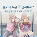 세모유통 | 돌아기 우유 언제부터? 교정 11개월 생우유 시작 후기 (멸균우유·분유전환)