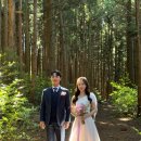 성곡동 796~성곡동 611 주변 | 💍Wedding 5탄:: 제주스냅 10월 두시의동화 웨딩촬영 찐후기 (feat.스타일리스트제희+더수트옴므+빛물꽃 )
