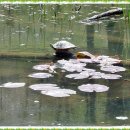 리틀영재어린이집 이미지