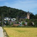 오덕 5리 Daum카페