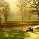 알파인 골프아카데미 이미지