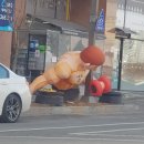 컴포즈커피(충남도청점)