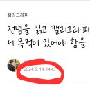 [주말] 캘리그라피 이미지