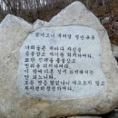 바위전망대 이미지
