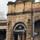 대성탕 | [호주워홀] D+12~13 매일매일 자격증의 연속! 시드니 마라톤 신청! (First Aid, CPR, Gas Testing...