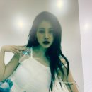 제이미 이미지