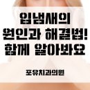 포유치과의원 이미지