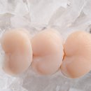 황가네 명품키조개 이미지