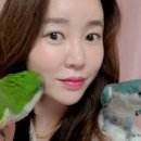 메디스킨유리하
