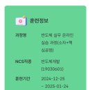 [윈스펙] 반도체 실무 온라인 실습과정 (소자+핵심공정) 후기