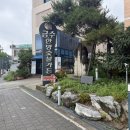 담양인삼 | 담양 대통밥 맛집 점심 추천｜금수한방숯불가든 떡갈비와 대통밥 먹고 죽녹원까지🌿