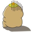 안면독스애견펜션 이미지