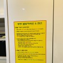 무주별빛카라반 이미지