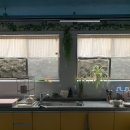 리젠트여관 | 제주공항근처 숙소 동양여관1938 - 동문시장 1인실 조용한 게스트하우스 추천