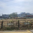 기대염소탕 | 융건릉 맛집 팔각정, 잡내 없는 흑염소탕 솔직후기