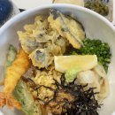 서귀서초교앞4가 2 | 을지로입구역 맛집🍜을지로4가 일식 맛집 우미우돈교자 붓카케/넓적우동/덮밥