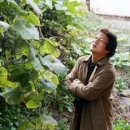 충남여인숙 이미지