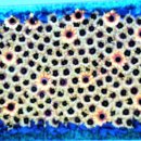 바이킹PC방 이미지