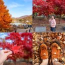 GS25 인천남동 | 인천 단풍명소 인천대공원 단풍 실시간 자전거 인천수목원 시기