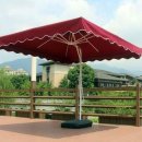 파라솔식당 이미지