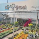 자양꽃직매장 이미지