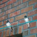 상수민박 이미지