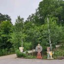 장등1로R 이미지