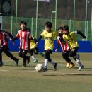 춘천 유나이티드 축구클럽 이미지
