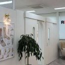 레푸스MS 이미지