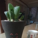 (주)그린내