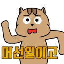 큰손손만두 네이버블로그