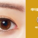 셀안경원 이미지