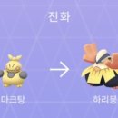 하리몽 네이버블로그