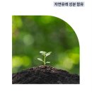 핏에스테틱 네이버블로그